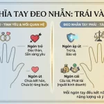 Ý nghĩa đeo nhẫn trên các ngón tay